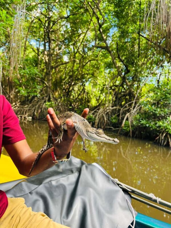 Bentota River Safari with Bazaar from ahungalla - FAQ