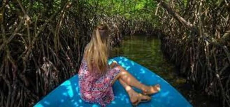 Bentota: River Safari with Hotel Pickup and Drop-Off - The Value of the Experience