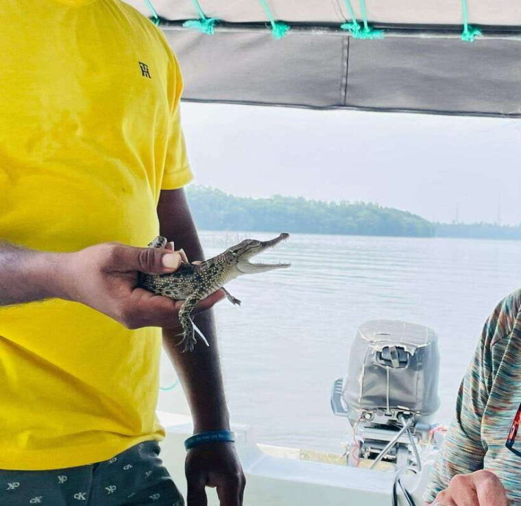 bentota-river-safari-with-hotel-pickup-and-drop-off