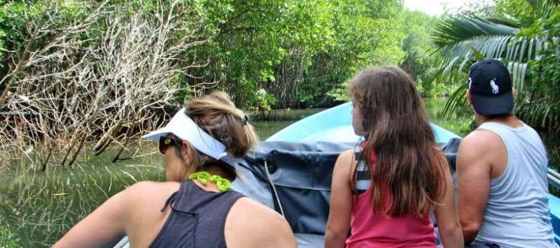 Bentota River Safari with Mangrove and Wildlife Encounter - Practical Details: What You Need to Know