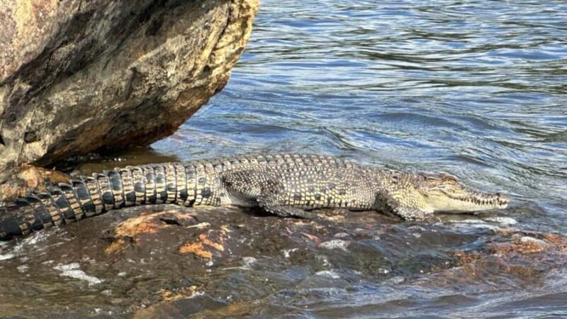 Bentota River Safari with Transfer and Guide - FAQs