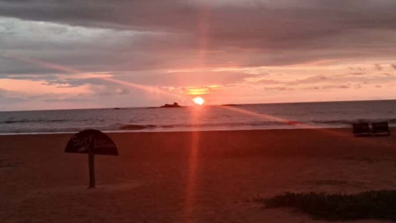 Bentota River,Turtels,Wood Carving & Temple tour By Tuk Tuk - Frequently Asked Questions