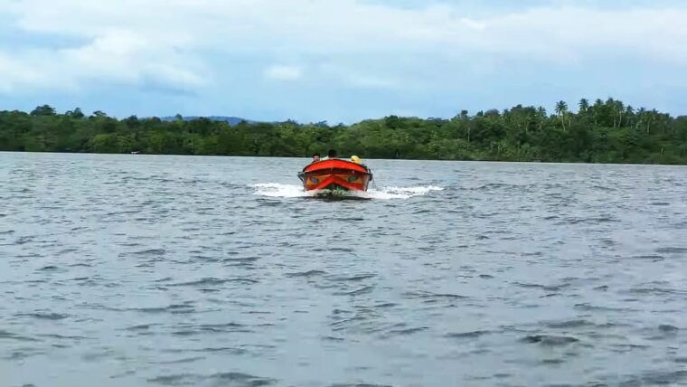 bentota-swampboat-ride-through-mangrove-forest