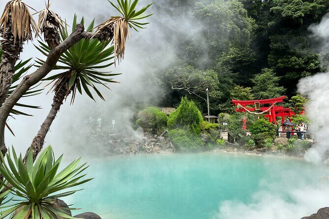 Beppu 7 Hells Private Tour - Key Points