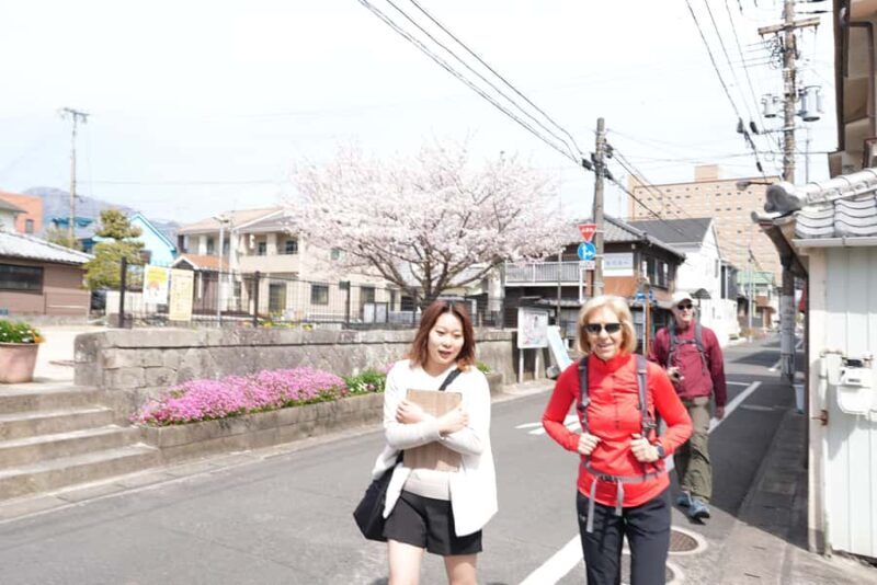 Beppu Backstreet Walking Tour - Key Points: