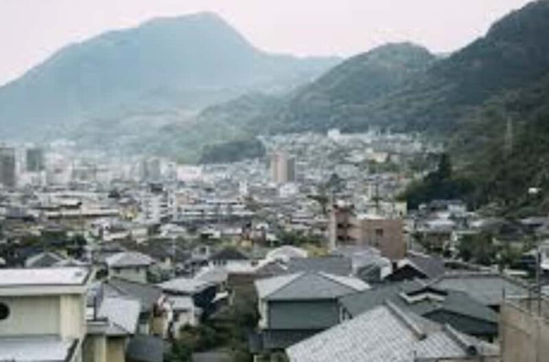 Beppu: Hot Springs Onsen Private Tour W/Local Guide - Who Would Enjoy This Tour?