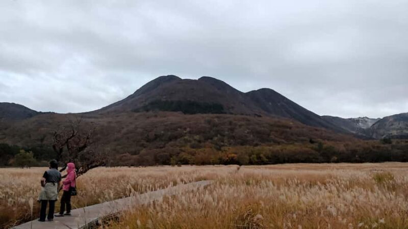 Beppu: Nordic Walking, Wagyu Lunch, and Yufuin Tour - FAQ