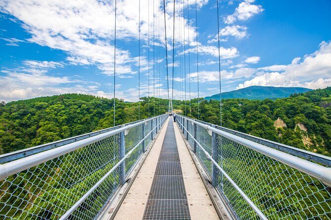 Beppu Oita Private Shore Excursion Hells of Beppu Tour - Key Points