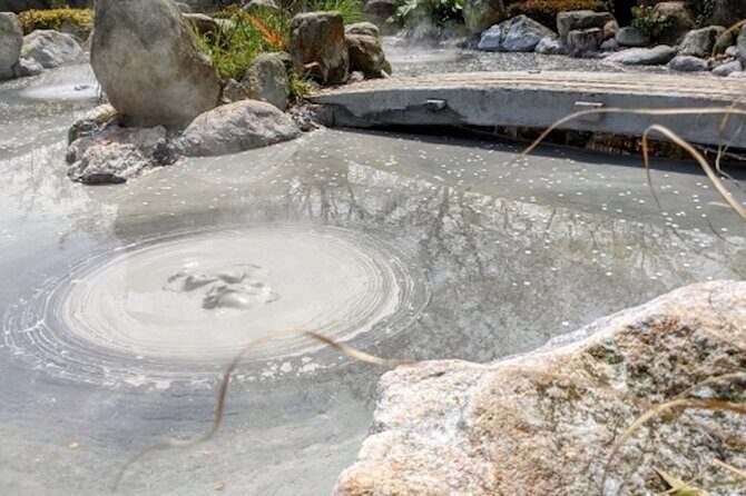 Beppu Oita Private Shore Excursion Hells of Beppu Tour - The Itinerary in Detail