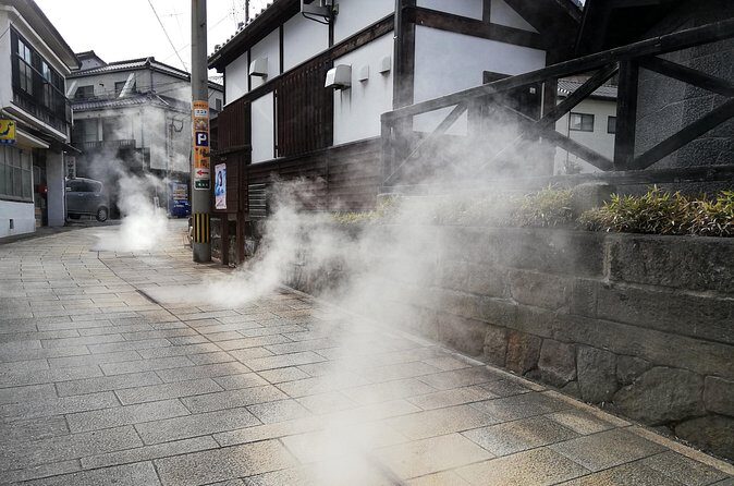 Beppu Oita Private Shore Excursion Hells of Beppu Tour - Pricing and Value