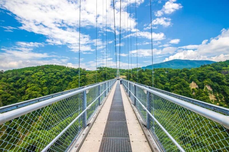 Beppu: Private Shore Excursion Beppu Hells & Sky Bridge - Key Points