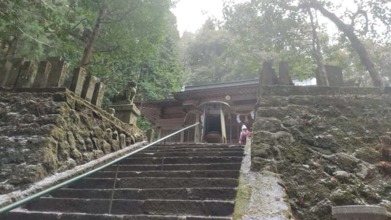 Beppu: Shidaka Lake Nordic Walking and Forest Bathing Tour - Intro: A Refreshing Way to Explore Beppu’s Nature