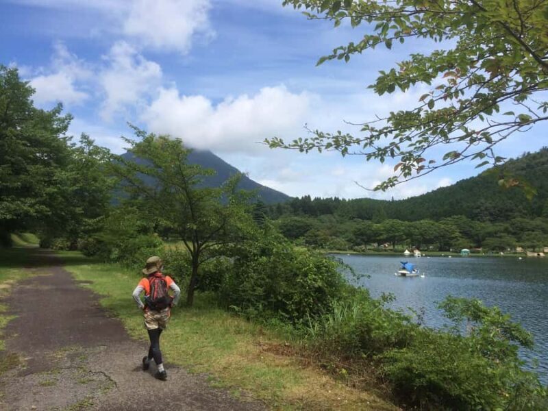 Beppu: Shidaka Lake Nordic Walking and Forest Bathing Tour - What to Expect: Practical Details and Tips