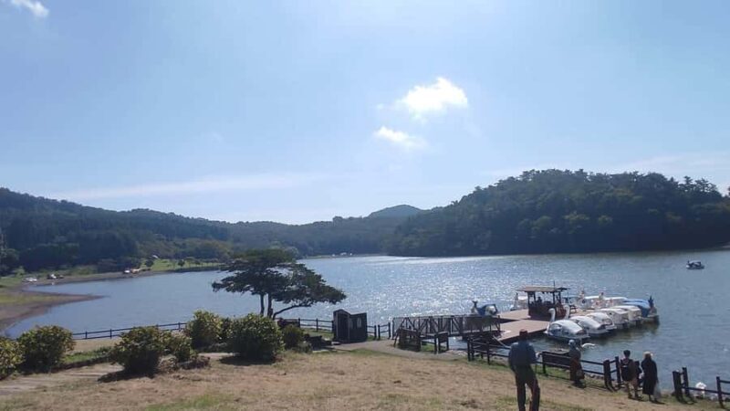 Beppu: Shidaka Lake Nordic Walking and Forest Bathing Tour - Final Thoughts: Who Should Consider This Tour?