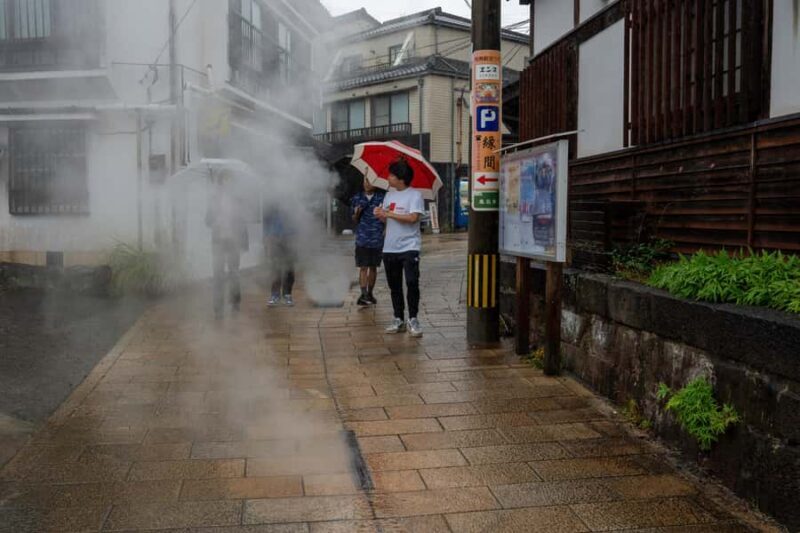 Beppu Walking Tour: Hot Springs & Local Culture - Key Points
