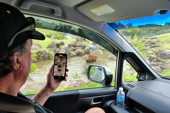 Beppus Best: African Safari and Beppu Hells Private Tour - Key Points