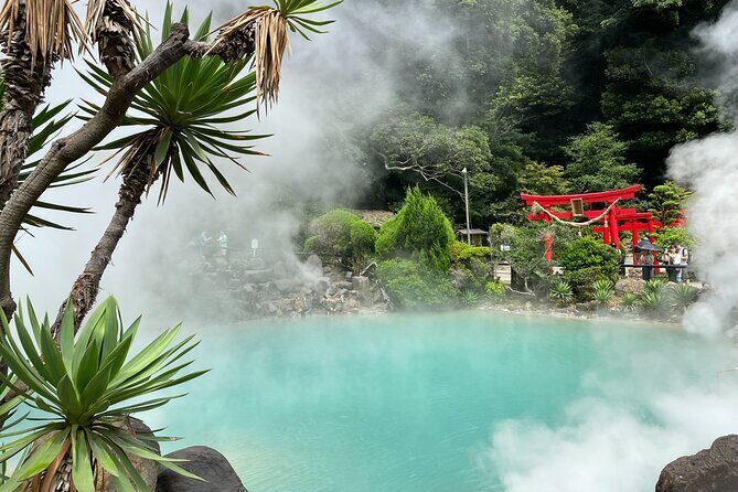 Beppus Best: African Safari and Beppu Hells Private Tour - The Sum Up