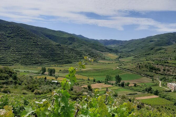 berat-4x4-off-road-and-vineyard-wine-tasting