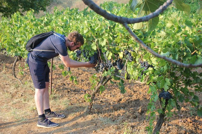 berat-grand-wine-tasting-food-tour