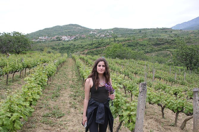 berat-grand-wine-tasting-food-tour