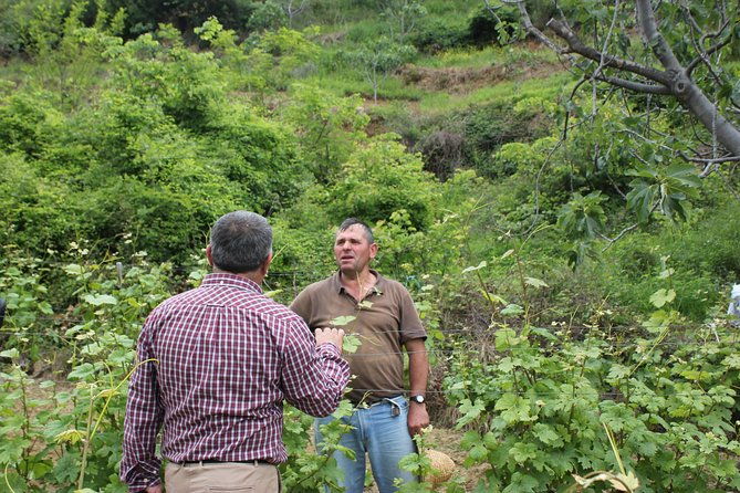 berat-grand-wine-tasting-food-tour