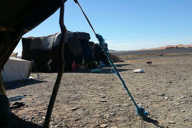 Berber Experience Private Sahara Desert Day Trip - Final Thoughts