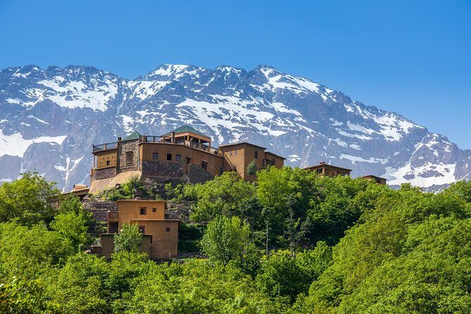 Berber Life Experience in the Atlas Mountains from Marrakech - Exploring the Argan Oil Cooperative