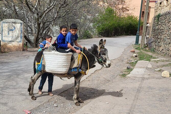 Berber Village Retreat: A Tranquil Escape to the Atlas Mountains - Pricing and Value