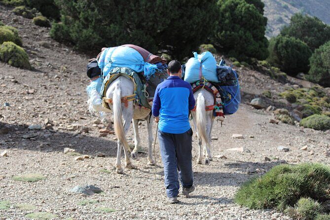 BERBER VILLAGES and Azzaden valley - 2 Days - Who Would Enjoy This Tour?