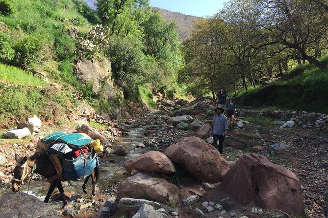 BERBER VILLAGES and Azzaden valley - 2 Days - Final Thoughts