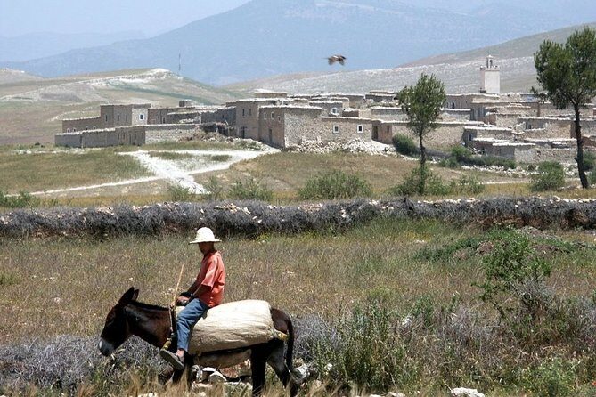 Berber villages trek Day trip - The Itinerary in Detail: A Day of Discovery