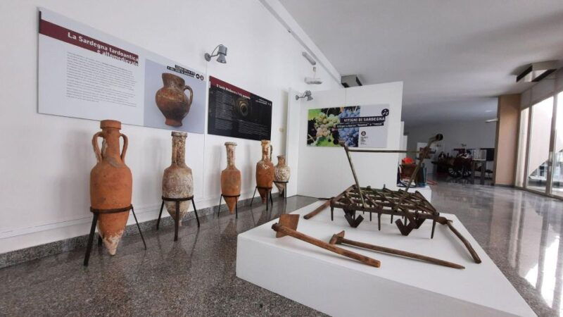 berchidda-visit-to-the-wine-museum-with-wine-tasting