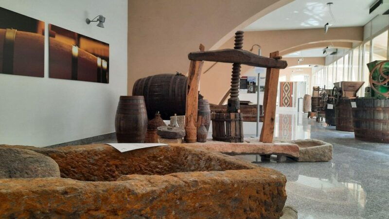 berchidda-visit-to-the-wine-museum-with-wine-tasting