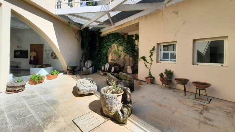 berchidda-visit-to-the-wine-museum-with-wine-tasting