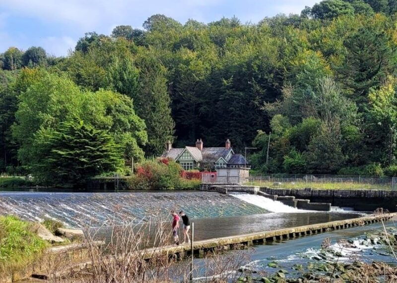 bere-ferrers-guided-walk-to-tamerton-foliot