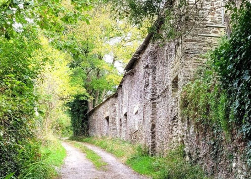 bere-ferrers-guided-walk-to-tamerton-foliot