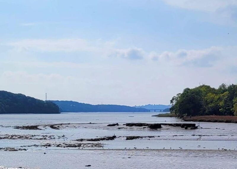 bere-ferrers-guided-walk-to-tamerton-foliot