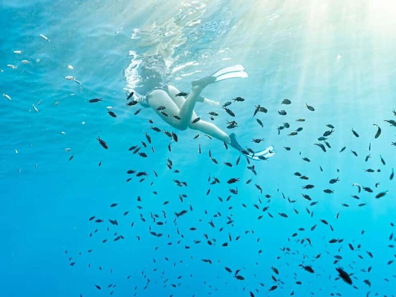 Bergeggi Island: Kayak and Snorkeling Tour in the MPA - An Authentic Marine Adventure in Liguria