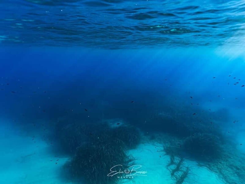 Bergeggi Island: Kayak and Snorkeling Tour in the MPA - Who Will Enjoy This Tour?