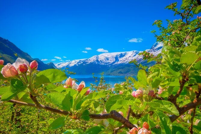 bergen-beyond-day-trip