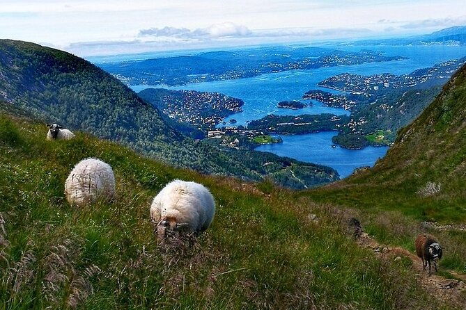 bergen-classic-private-hiking