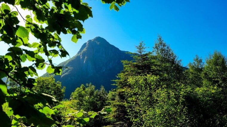 bergen-cruise-to-beautiful-rosendal-by-the-hardangerfjord