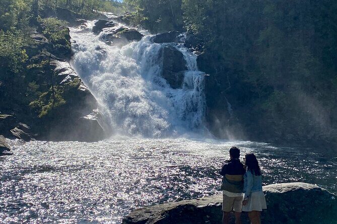 Bergen Day Trip Chasing the Waterfalls of Hardangerfjord - Authentic Experiences and What Reviewers Say