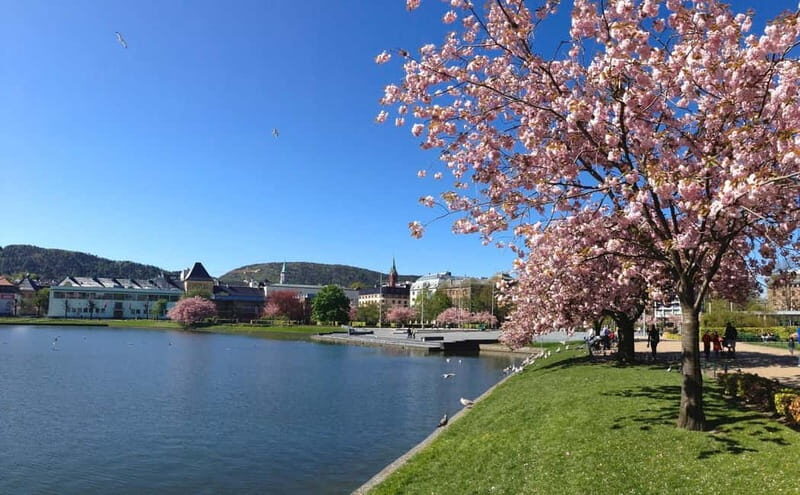 Bergen: Flam Railway, Stegastein and Fjord Cruise Day Tour - The Return Journey and Overall Experience  