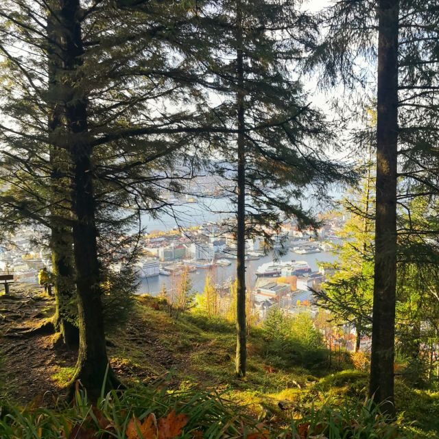 Bergen: Guided mountain hike on top of Bergen - Who should consider this tour?