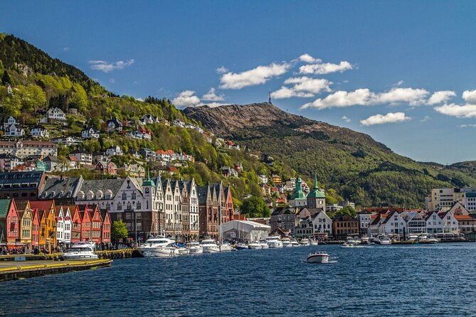 bergen-guided-tour-by-minibus-with-local-guide-photostops