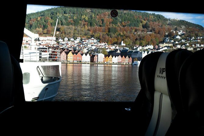 bergen-guided-tour-by-minibus-with-local-guide-photostops