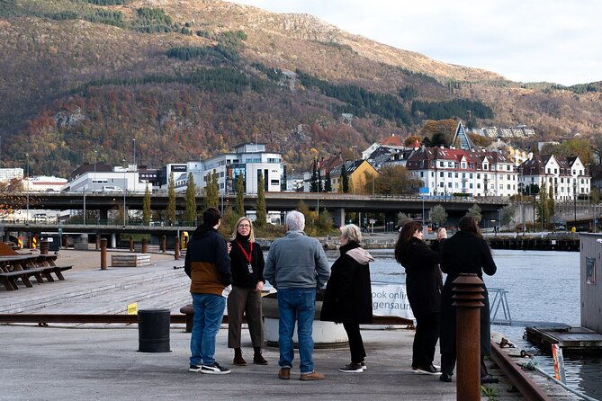 bergen-guided-tour-by-minibus-with-local-guide-photostops