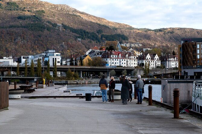 bergen-guided-tour-by-minibus-with-local-guide-photostops