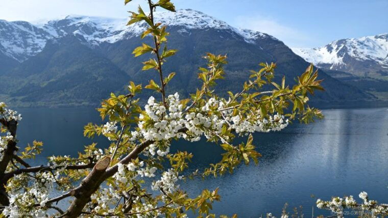 bergen-hardangerfjord-voss-gondola-3-great-waterfalls